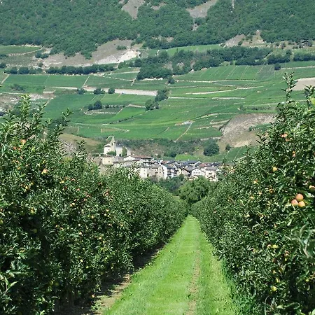 Geranium Gift-particulair * Saillon