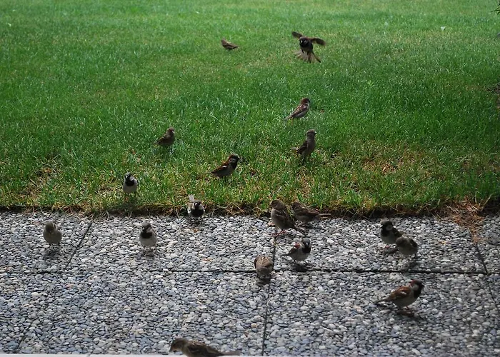 Appartamento Geranium Gift-particulair Saillon