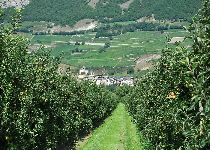 Geranium Gift-particulair * Saillon