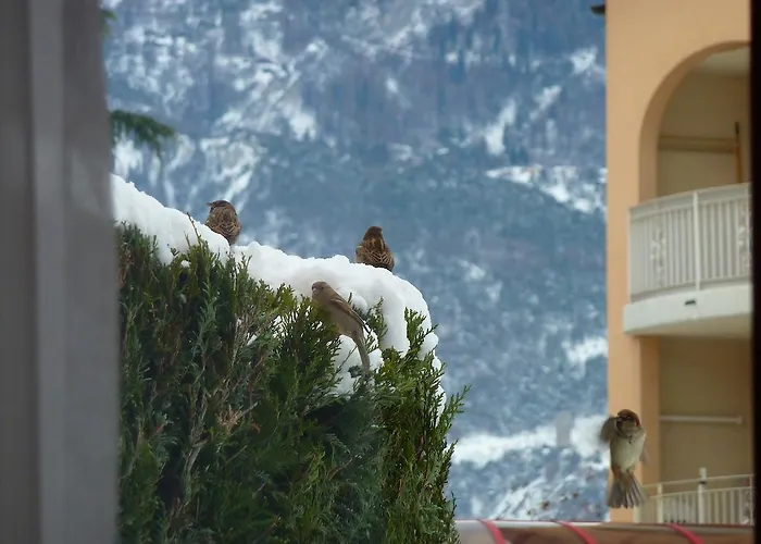 Appartamento Geranium Gift-particulair *