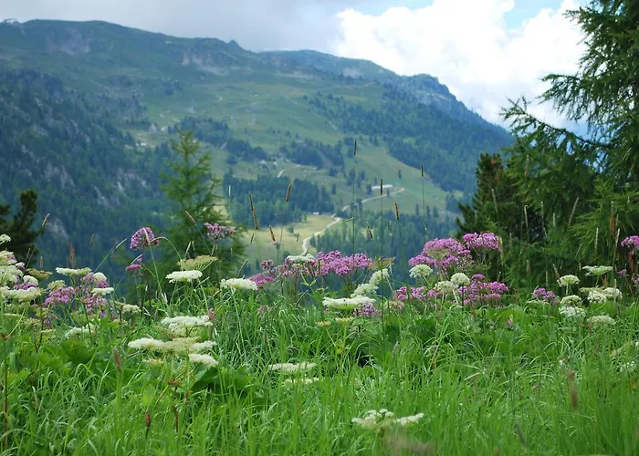 Geranium Gift-particulair * Saillon