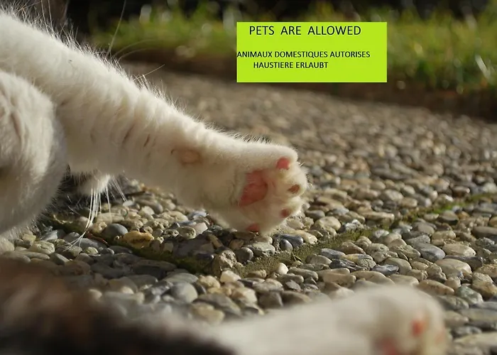 Appartamento Geranium Gift-particulair