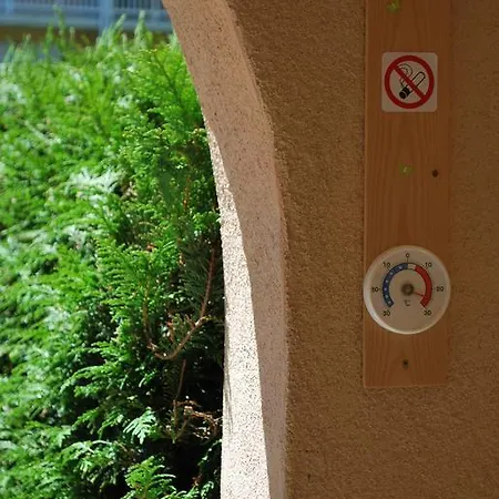 Geranium Gift-particulair 사이옹